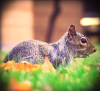 Silly Nature (Photo by Mackenzie Lowe)